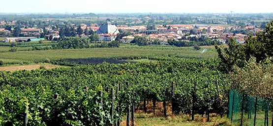 Giavera del Montello: il concorso per un nuovo centro parrocchiale